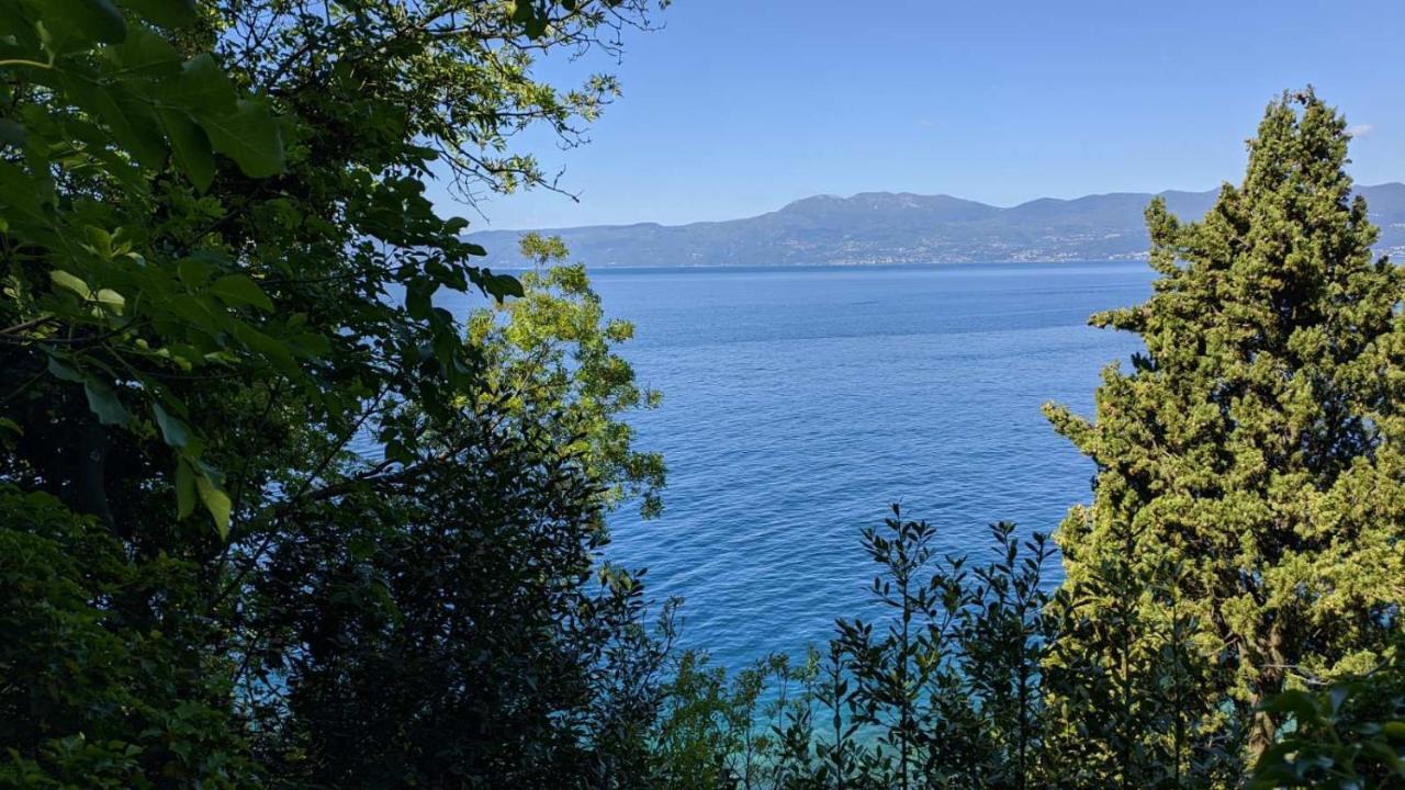 Dreamcatcher Close To Everything- Pet Friendly Beach Nearby Rijeka Eksteriør billede